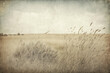 Prairie grass wheat field vintage illustration, bleak cloudy muted gray landscape art for background, wallpaper, texture