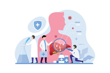 Doctor make liver examination design concept. Hepatologists  diagnose, manage, and treat conditions affecting the liver vector illustration