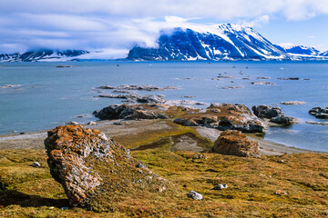 Sticker - Landscape view of a bay in the Svalbard archipelago