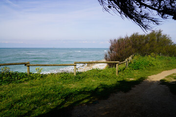 Wall Mural - wooden fence pathway in dune protect to beach sea in oleron island coast Atlantic ocean in france