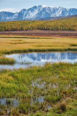 Wall Mural - View on Altai lake Dzhangyskol and mountain plateau Eshtykel. North Chui ridge. Russia.