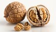  a walnut is cut in half with the shell still open and the seeds still attached to the whole walnut, on a white background with a shadow.  generative ai