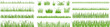 Cartoon grass leaves. Tuft of green meadow grass, lawn herb silhouette dividers and natural spring garden vegetation vector set