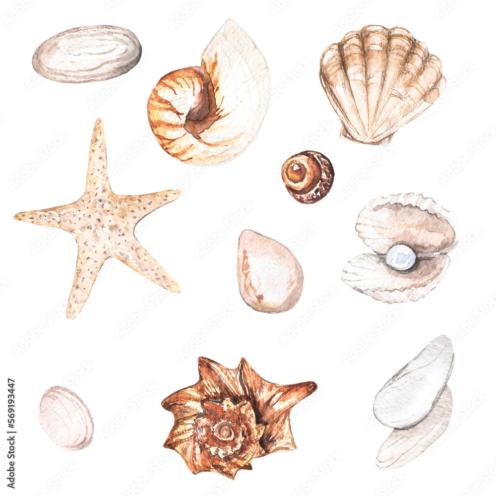 Sea adventure watercolor illustration set Stock Illustration | Adobe Stock
