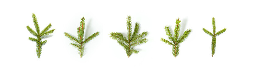 Wall Mural - Composition with fir tree branch isolated on white background. Elements for Christmas greeting card. Holiday decorations.