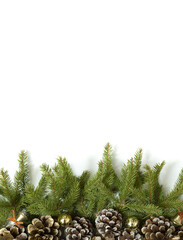 Wall Mural - Winter or Christmas banner with a border of green fir tree twigs and cones isolated on a white background, copyspace for your text, flat lay, top view. Elements for greeting card. Holiday decorations