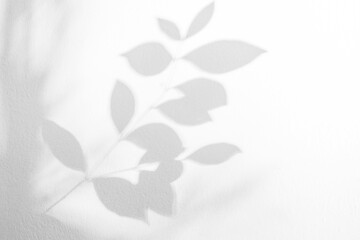 Aufkleber - Leaf shadow and light on wall background. Nature tropical leaves tree branch and plant shade with sunlight from sunshine dappled on white wall texture for background wallpaper, shadow overlay effect