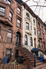 Wall Mural - Brooklyn typical facades & row houses in an iconic neighborhood of Brooklyn. Park Slope, New York