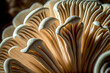 closeup of a white mushroom. Generative AI