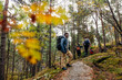 © Maskot - Side view of smiling man standing on trail in forest