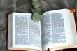 Otwarty tekst Ewangelii z listkami. Biblia i zachęta do czytania, studiowania Słowa Bożego
