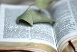Fototapeta  - Otwarta Biblia w polskim języku z założoną gałązką eukaliptusa. Czarny tekst biblijny na otwartych stronach Ewangelii