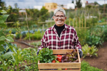 Senior Woman Holding Fresh Vegetables With Garden In The Background - Harvest And Gardening Concept