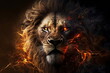 portrait of a fire lion