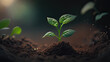 Growing plant, Young plant with ground backdrop and dawn light, Modern agricultural theme and New life idea concept. Springtime sees little plants on the ground. Fresh young seed image. Generative AI