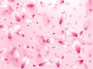 Wall Mural - Pink cherry blossom petals isolated