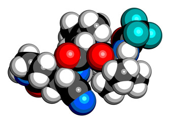 Wall Mural - Nirmatrelvir (PF-07321332) antiviral drug molecule. 3D rendering.