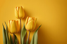 Beautiful Yellow Tulips With Copy Space On Yellow Background. Spring Flowers. Illustration AI