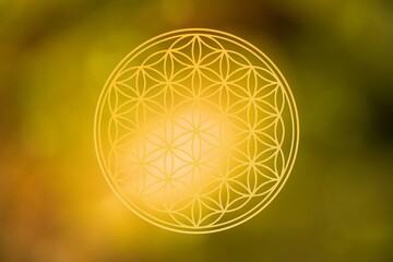 Wall Mural - flower of life on atmospheric background