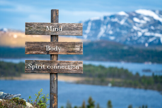 Wall Mural - mind body spirit connection text quote on wooden signpost outdoors in nature during blue hour.