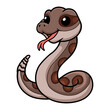 Cute rattlesnake cartoon on white background