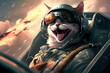 Airforce Cat Strong And Ready For Action Generative AI