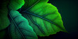 Closeup image of a green leaf  ideal for nature backgrounds, generative AI