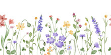 Watercolor Floral Seamless Pattern With Wildflowers, Plants, Leaves And Herbs. Horizontal Endless Border With Lavender Isolated On White.