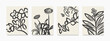 © bywieldan - Botanical wall art. Artistic hand painted leaf line art illustration. Art Design vintage and natural prints for covers, wallpapers, banners, flyers, posters, and related about decoration.