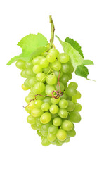 Poster - Bunch of green grapes isolated