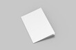 © Syahrul - A4 Bifold Brochure Blank Mockup
