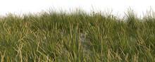 Beach Grass Sand Dune Foreground Hq Arch Viz Cutout Full Dof
