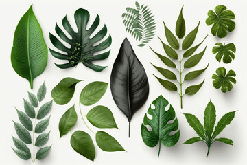  Tropical Exotic Luxury leaves isolated on white background. Graphic elements for advertising and creativity.Ai generated