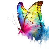 Fototapeta Motyle - Butterfly with Rainbow  Iridescent Colours