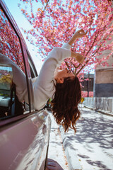 Canvas Print - woman get out of the car blooming sakura tree on background