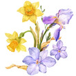 Spring bouquet of  daffodil and iris and alstroemeria flowers