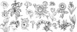 Vector hand drawn line art flowers bundle