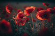 A field of red Flanders poppies at sunrise an Anzac Day and Remembrance Day concept.  Generative AI.