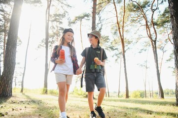 Wall Mural - Group of curious happy school kids in casual clothes with backpacks exploring nature and forest together on sunny autumn day.