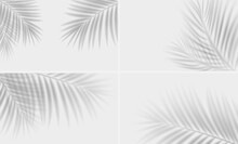 Set Of Shadow Overlay Effects. Tropical Leaf Soft Shadow. Natural Light Scene, Vector Illustration.