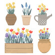 Collection of vintage pots, watering can and box with Spring flowers. Tulips, hyacinths, muscari, daffodils. Doodle hand drawn vector illustration isolated on white. Summer garden