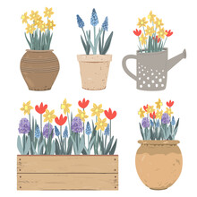Collection Of Vintage Pots, Watering Can And Box With Spring Flowers. Tulips, Hyacinths, Muscari, Daffodils. Doodle Hand Drawn Vector Illustration Isolated On White. Summer Garden