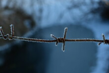 Taut Barbed Wire
