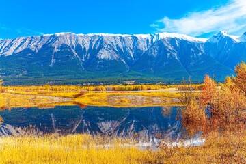 Wall Mural - Abraham Lake