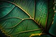 Closeup nature green leaf. Tropical leaf macro view. Generative AI
