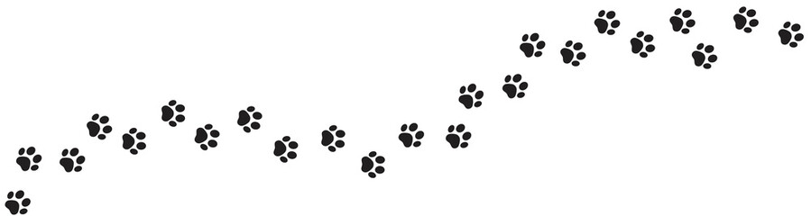 Paw print of dog isolated on transparent background. cat paw print. cat walk foot print. Paw print of dog PNG