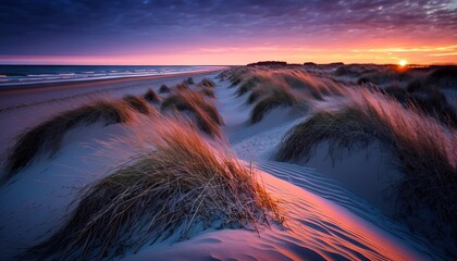 Wall Mural -  a beach with sand dunes and grass growing out of the sand at sunset with the sun setting in the distance behind the sand dunes and the sand.  generative ai