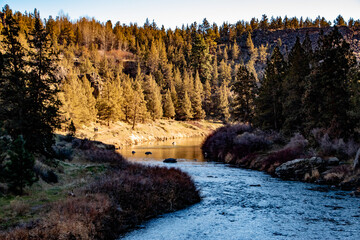 Wall Mural - River Running Through Forest in Smith Rock State Park, OR