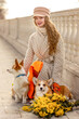 © Светлана Густова - A young woman walks with dogs on a leash. Welsh corgi-Pembroke walk with the owner in the spring park.