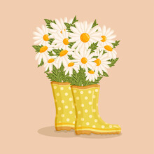 Bouquet Of White Chamomile Flowers In Yellow Rain Boots. Spring Composition For Women's Day, Mother's Day, Valentine's Day And Other Holidays. Spring Floral Design Isolated Vector Illustration.
